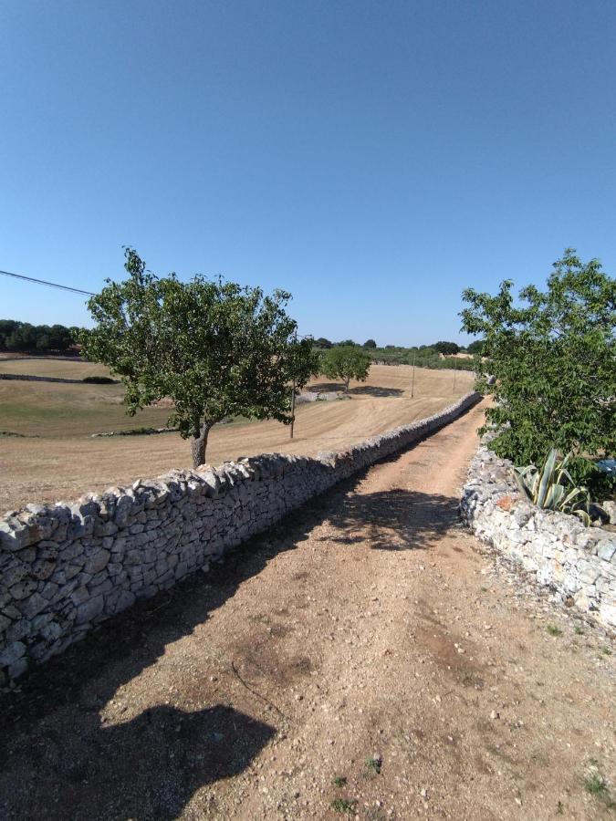 Masseria Catucci Agriturismo アルベロベッロ エクステリア 写真