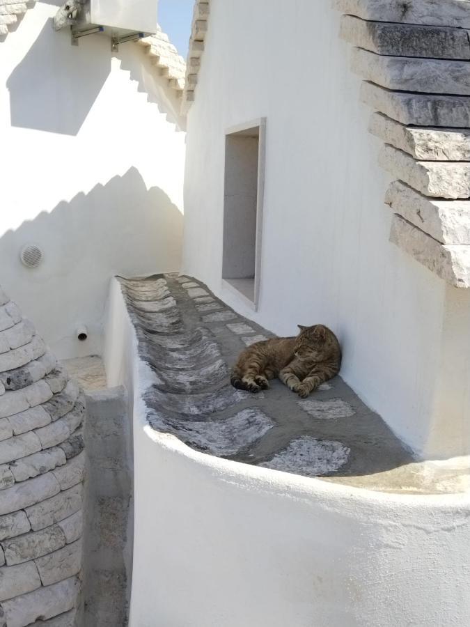 Masseria Catucci Agriturismo アルベロベッロ エクステリア 写真